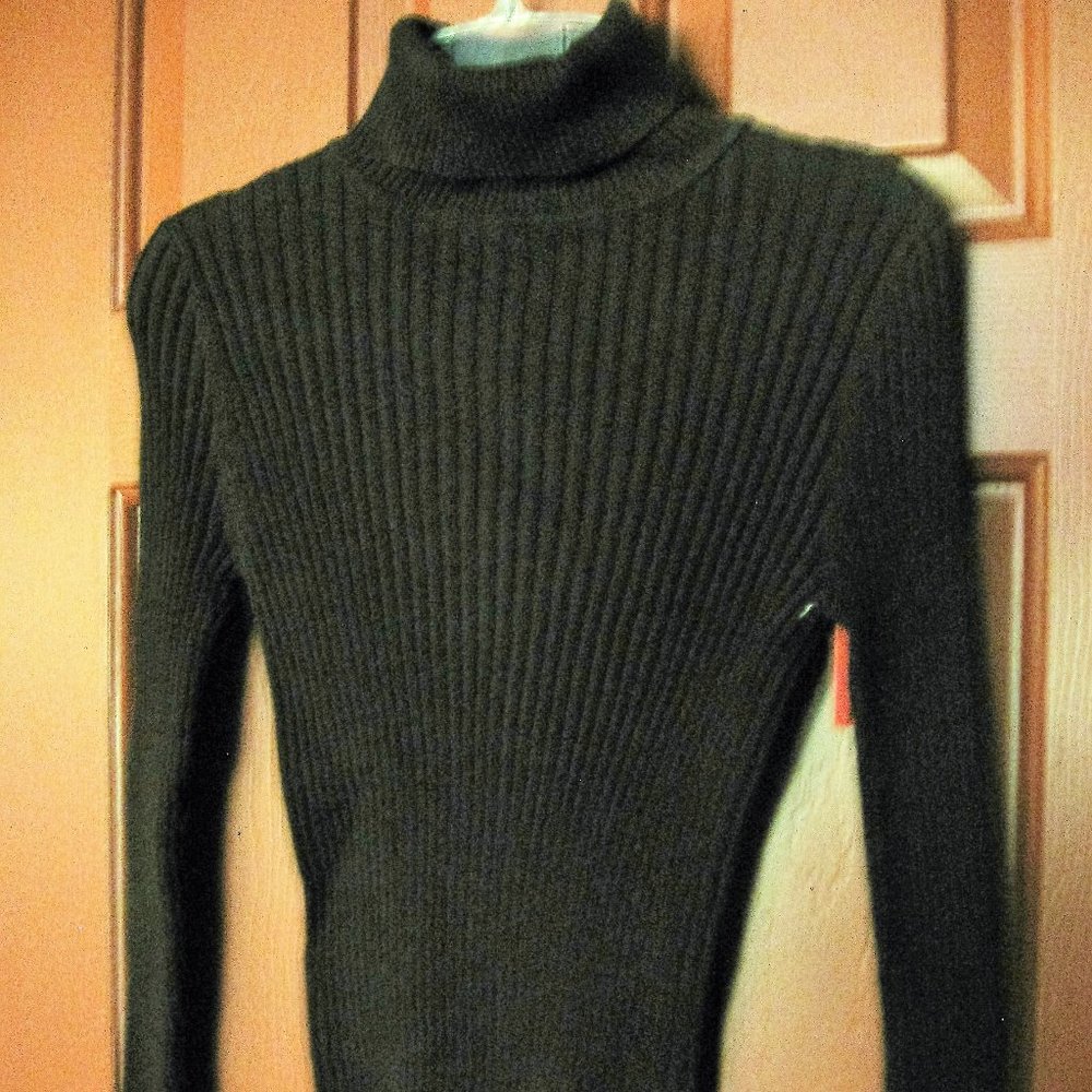 2 Ribbed Turtlenecks: BROWN and BLACK - one by EXPRESS, the other unk